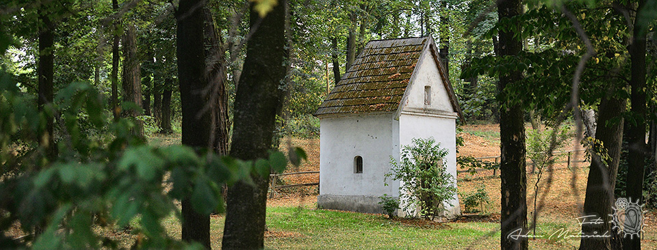 Kapliczka w Świdniku przy Dworze